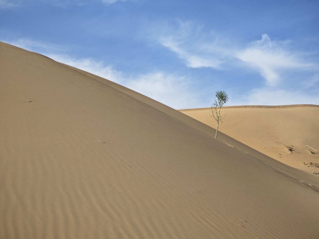 庫布齊沙漠 庫布齊沙漠