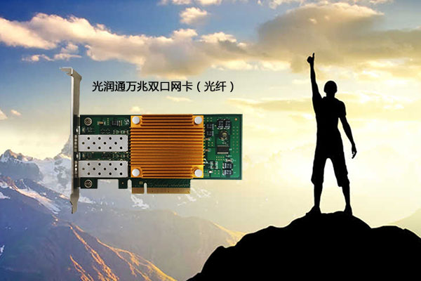 萬兆光纖網卡 萬兆光纖網卡